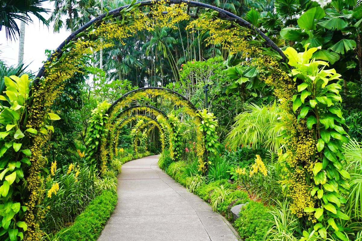 A beautiful view of Singapore botanic gardens in Australia
