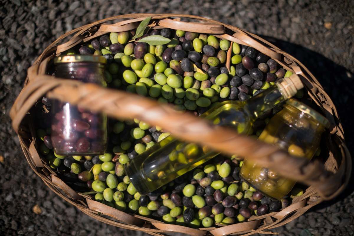 Close-up of olives, jar and olive oil bottle in basket on a sunny day