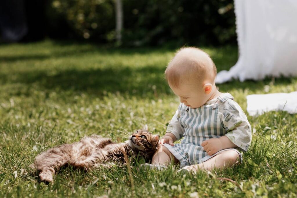 Cute little baby boy sitting on white blanket on green grass in summer, on a Sunny day, playing with a cat. Selective focus, space for text.